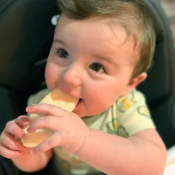 BOY Bebe Confort Bodysuits><noscript><img width=