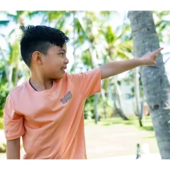 Kids/BOY Billabong Heritage T-shirt 8-16
