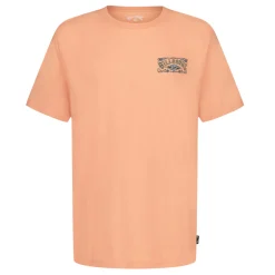 Kids/BOY Billabong Tops>Heritage T-shirt 4-7