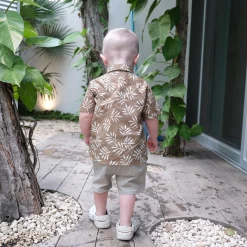 BOY Chat Botte Tops>Horizon Shirt 3-24m