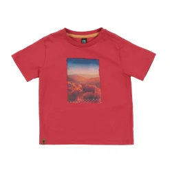 BOY Nano Horse T-shirt 6-24m