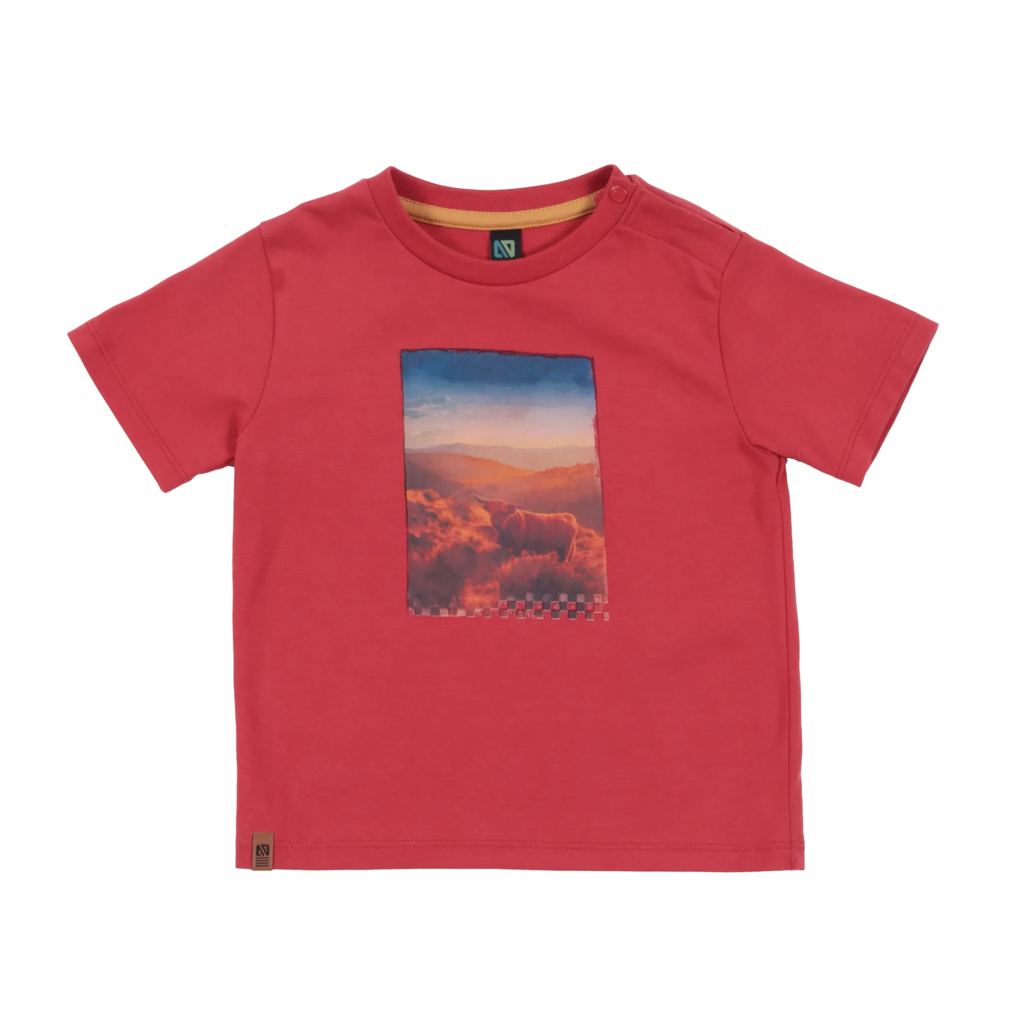 BOY Nano Horse T-shirt 6-24m