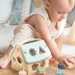 Speedy Monkey House Shape Sorter