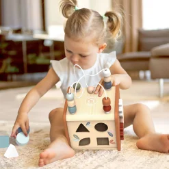 Speedy Monkey 5-in-1 Activity Cube