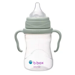Kids B.Box 4in1 Cup Pack - Sage