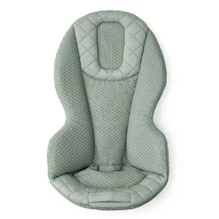 Ergobaby 3-in-1 Evolve Mesh Bouncer - Sage