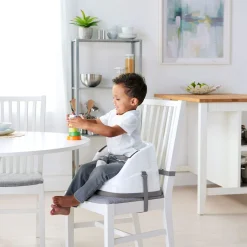 Ingenuity High Chairs & Booster Seats|High Chairs & Booster Seats><noscript><img width=