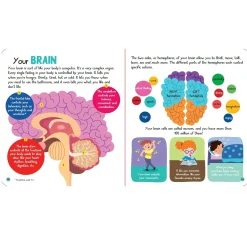 Prologue Junior Encyclopedia Of Human Body