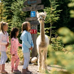 Kids Birdz Fleeces And Sweatshirts|Tops><noscript><img width=