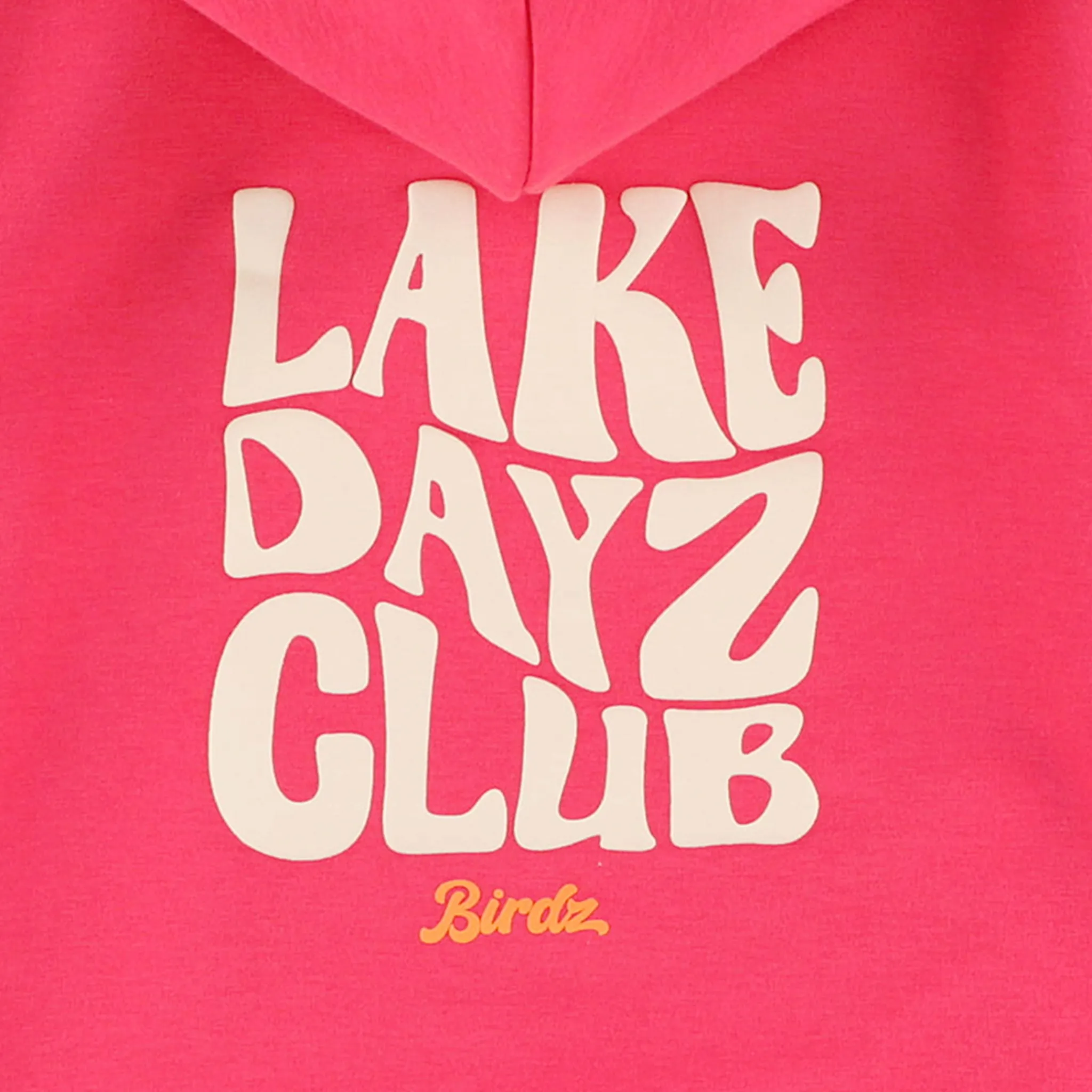 Kids Birdz Lake Dayz Club Hoodie 2-10