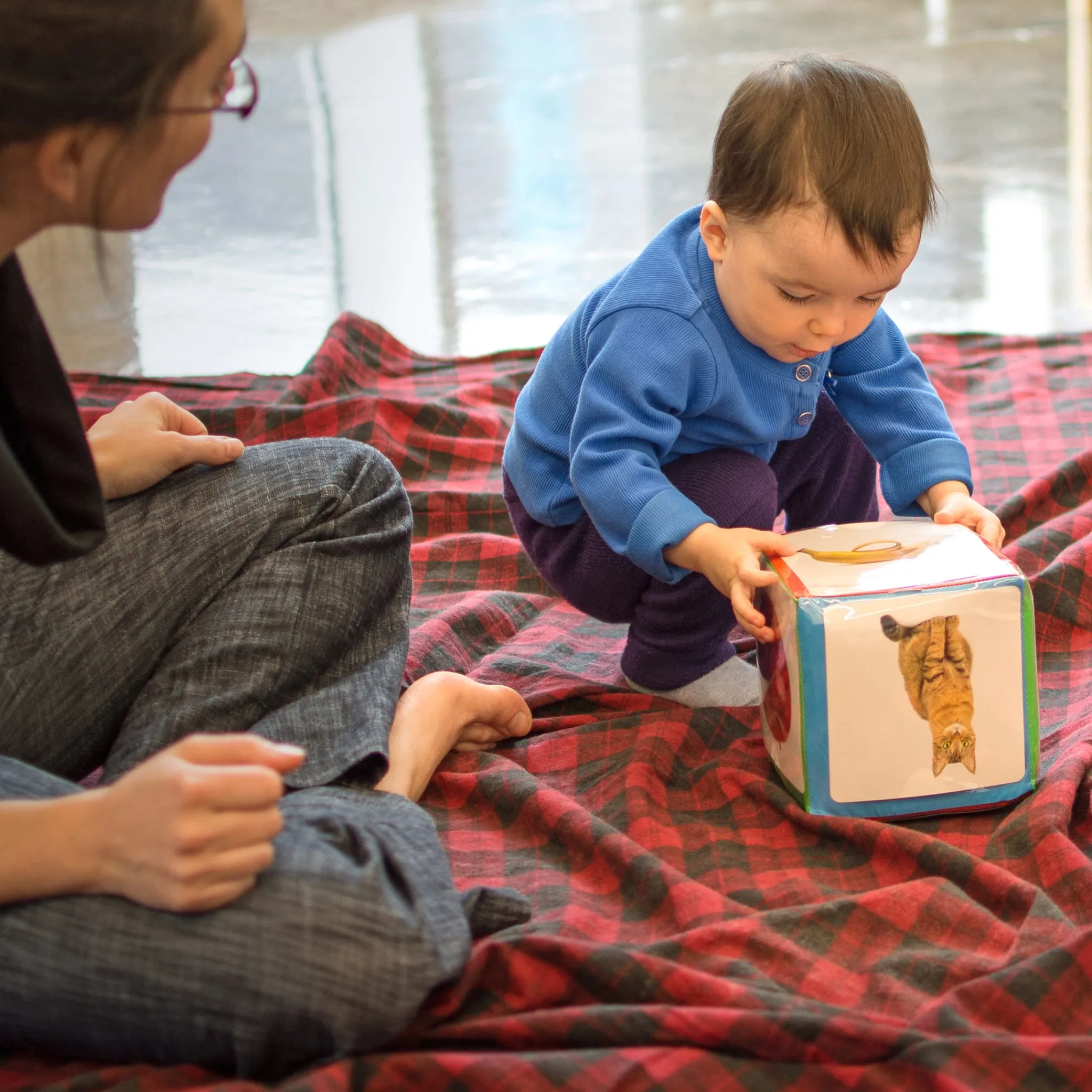 Placote Developmental Toys>Le Dé Des Premiers Mots