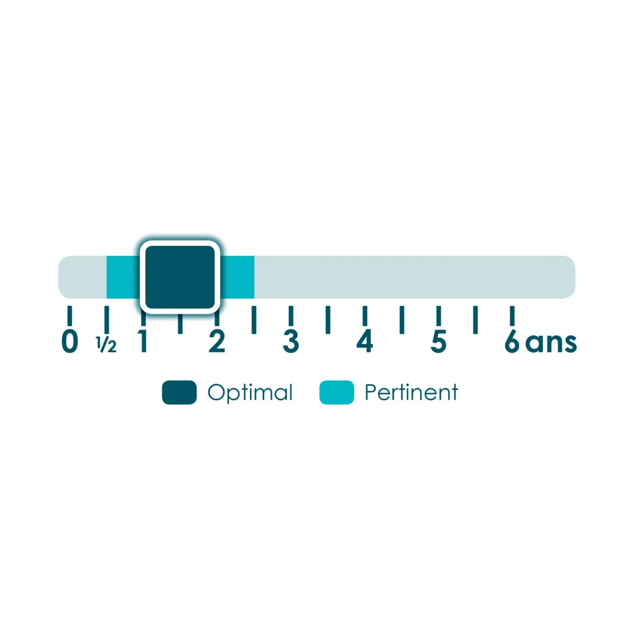 Placote Developmental Toys>Le Dé Des Premiers Mots
