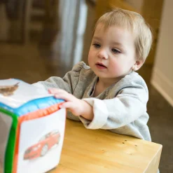 Placote Developmental Toys><noscript><img width=