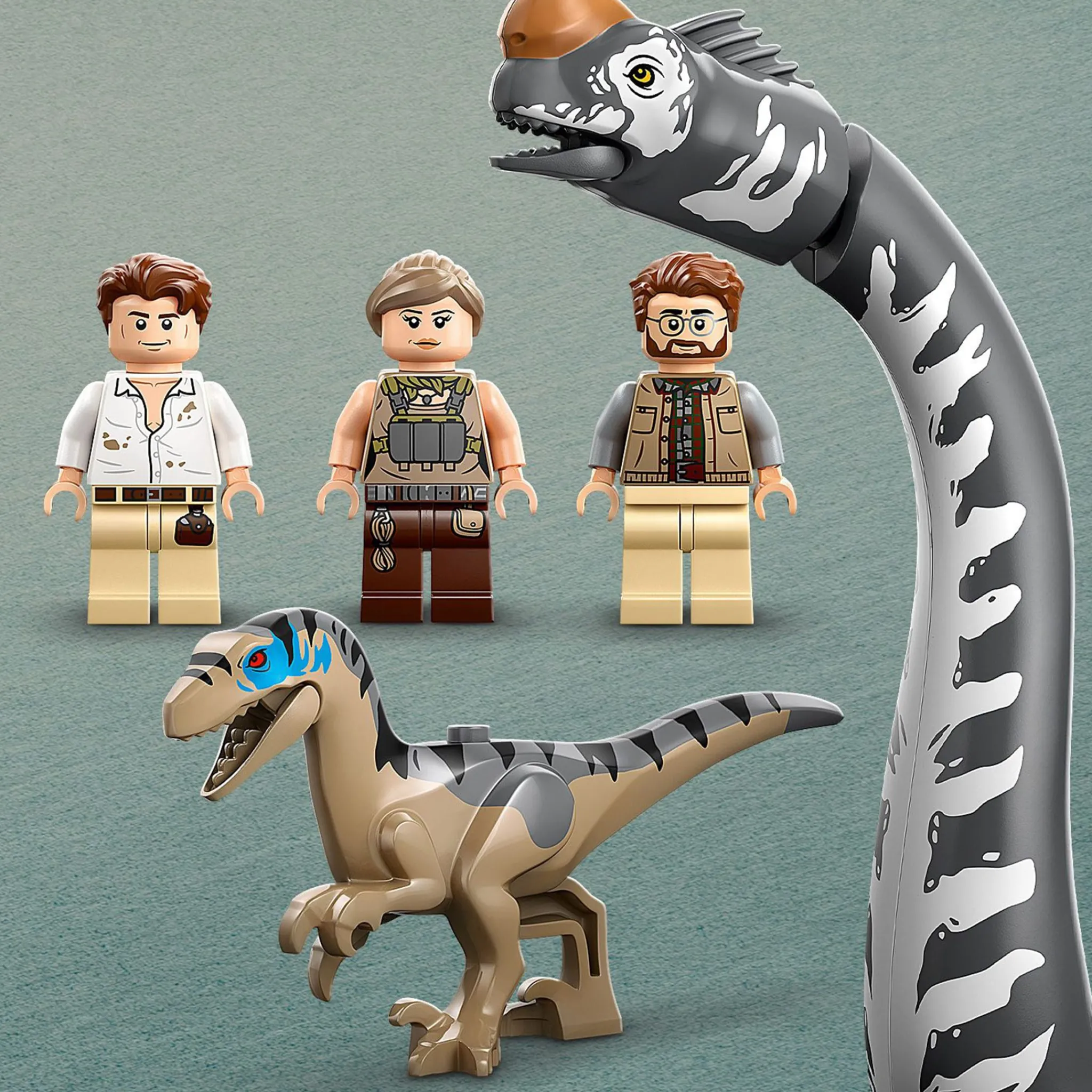 Kids LEGO® Assembly & Construction>Jurassic World Raptor & Titanosaurus Tracking Mission