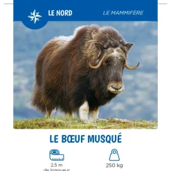 Auzou Les Animaux Du Québec