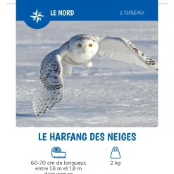 Auzou Les Animaux Du Québec