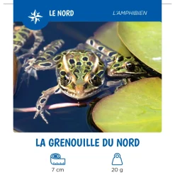 Auzou Les Animaux Du Québec