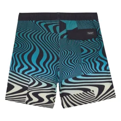 Kids/BOY Volcom Lido Print Trunk 8-16y