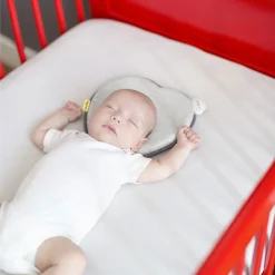 Babymoov Lovenest Head Support - Gray