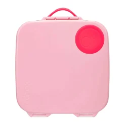 Kids B.Box Lunch Box - Flamant Fizz