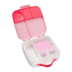 Kids B.Box Lunch Box - Flamant Fizz