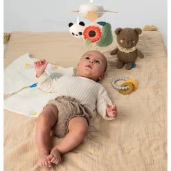 Taf Toy Developmental Toys><noscript><img width=