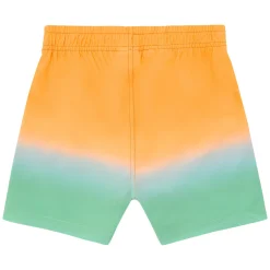 Kids/BOY Color Kids Swimsuits>Magic Swim Shorts 2-8