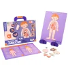 Kids Mieredu Magnetic Pad Human Anatomy