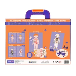Kids Mieredu Magnetic Pad Human Anatomy