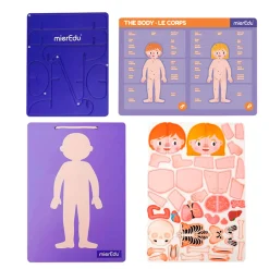 Kids Mieredu Magnetic Pad Human Anatomy
