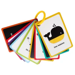 Auzou Mes 1eres Cartes Pour Éveiller