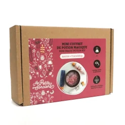 Kids Les Petits Sorciers Mini Coffret Potion D'Amitié