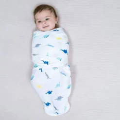 Aden + Anais Minky Easy Swaddle Wrap (3) - Dino