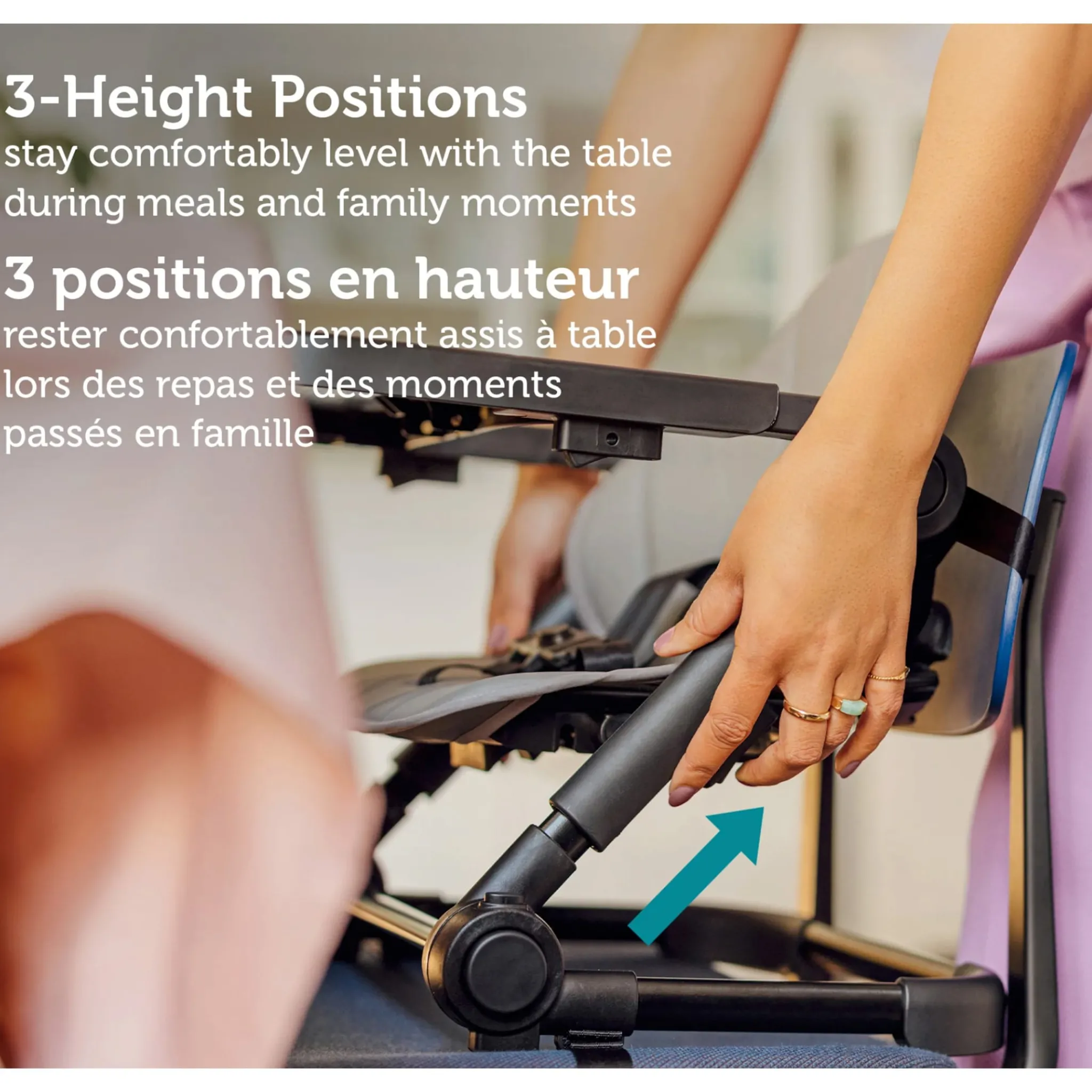 Safety 1st High Chairs & Booster Seats|High Chairs & Booster Seats>Moly Feeding Booster