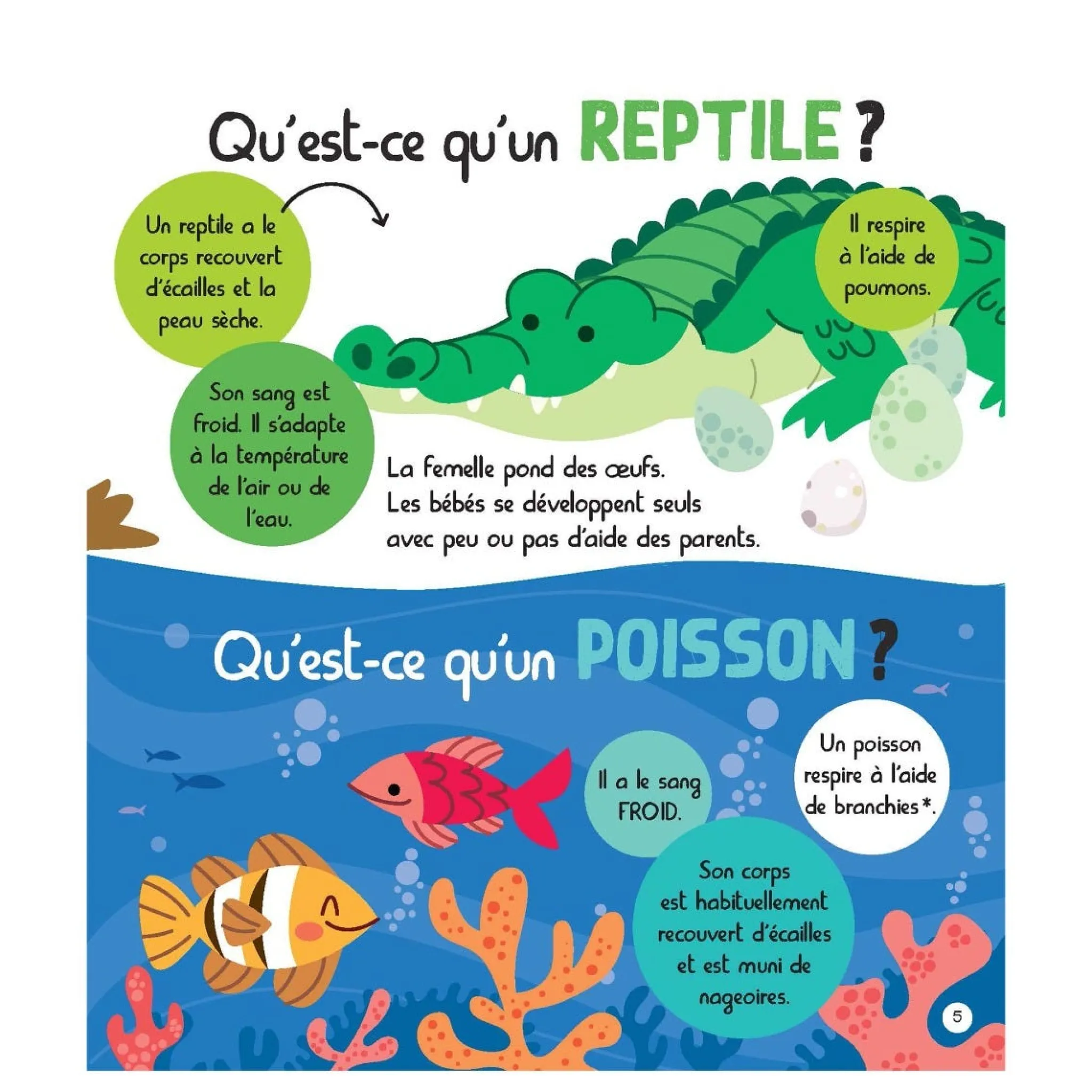 Prologue Mon Encyclopetit des Animaux