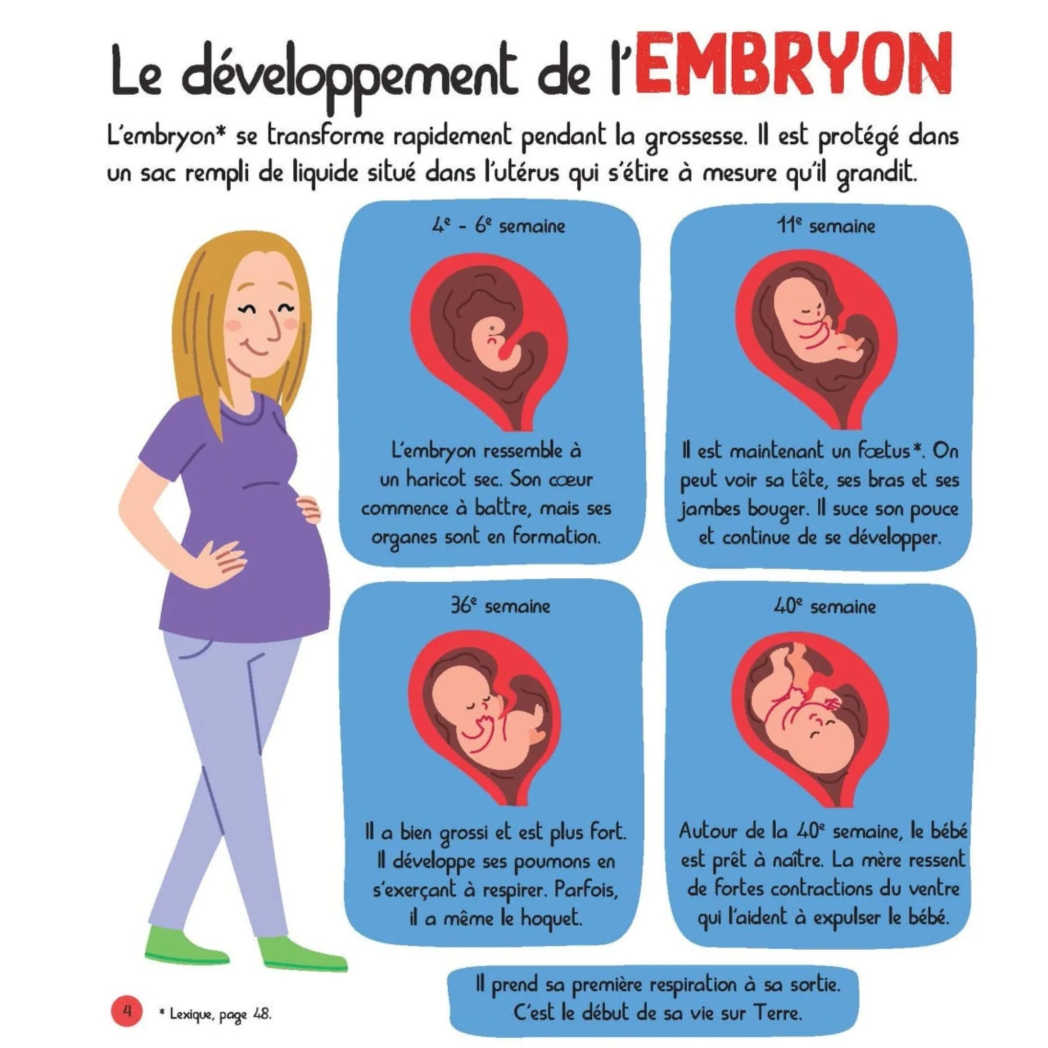 Prologue Mon Encyclopetit Du Corps Humain