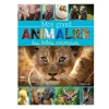 Prologue Mon Grand Animalier des Bébés