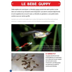 Prologue Mon Grand Animalier des Bébés