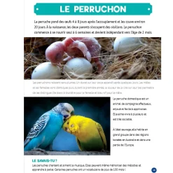 Prologue Mon Grand Animalier des Bébés