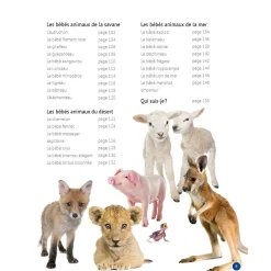 Prologue Mon Grand Animalier des Bébés
