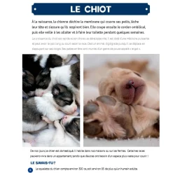 Prologue Mon Grand Animalier des Bébés