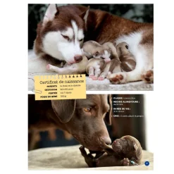 Prologue Mon Grand Animalier des Bébés