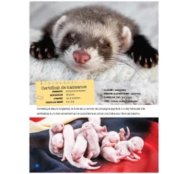 Prologue Mon Grand Animalier des Bébés