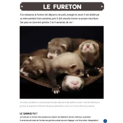 Prologue Mon Grand Animalier des Bébés