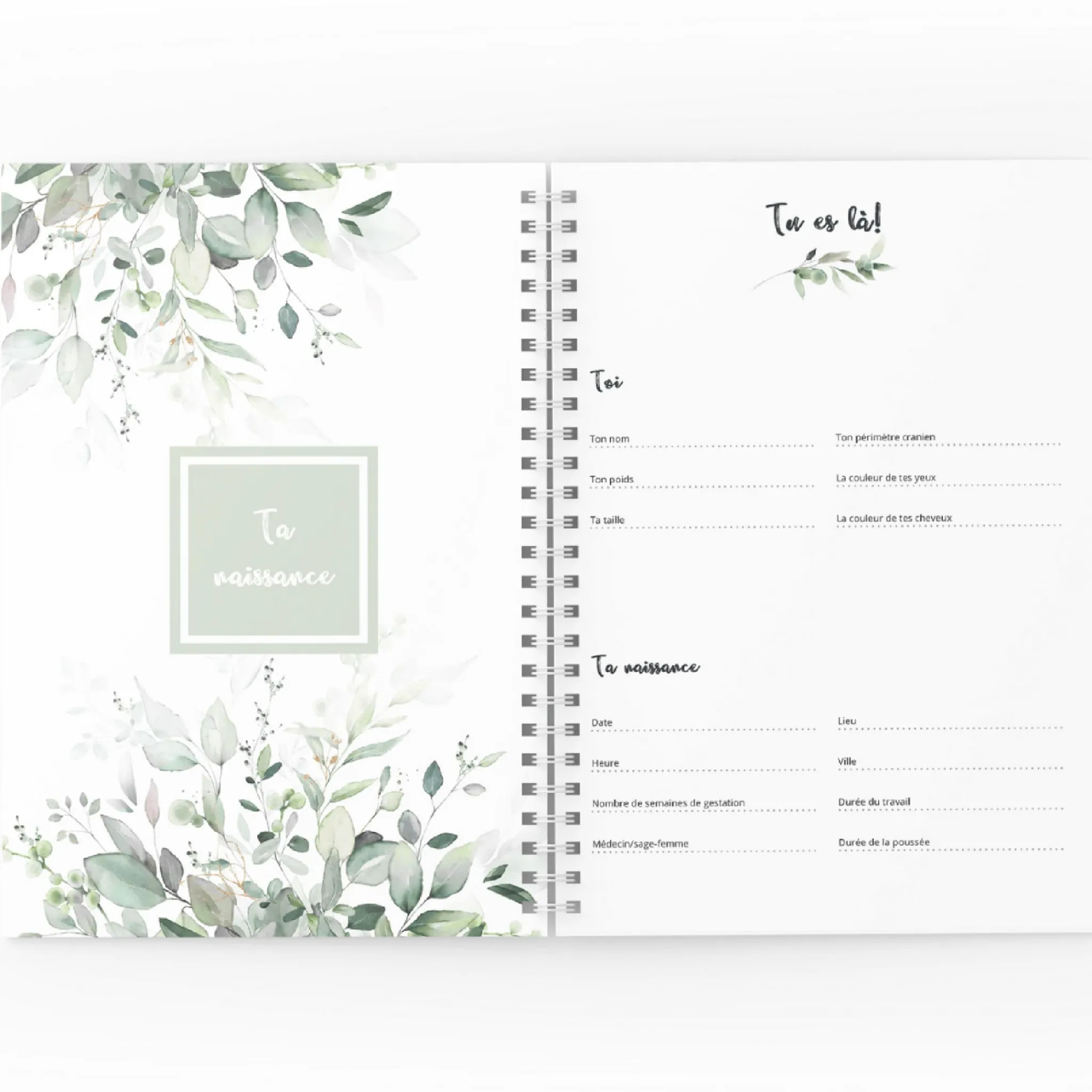 Moments Ancres Baby Memories|Baby Memories>Mon Journal de Grossesse - Feuilles