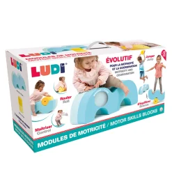 Ludi Motor Skills Blocks