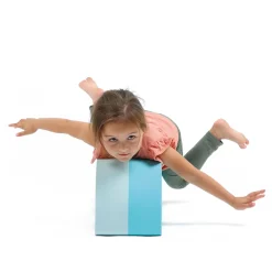 Ludi Motor Skills Blocks