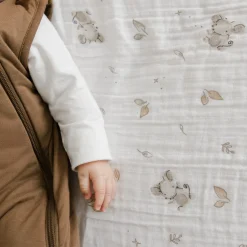 Kids Perlimpinpin Mouse Muslin Blanket