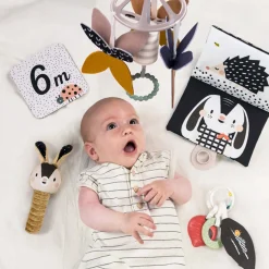 Taf Toy Developmental Toys>Newborn Black & White Kit 10 Pieces