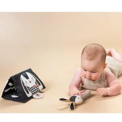 Taf Toy Developmental Toys><noscript><img width=